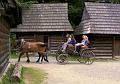 skanzen 01